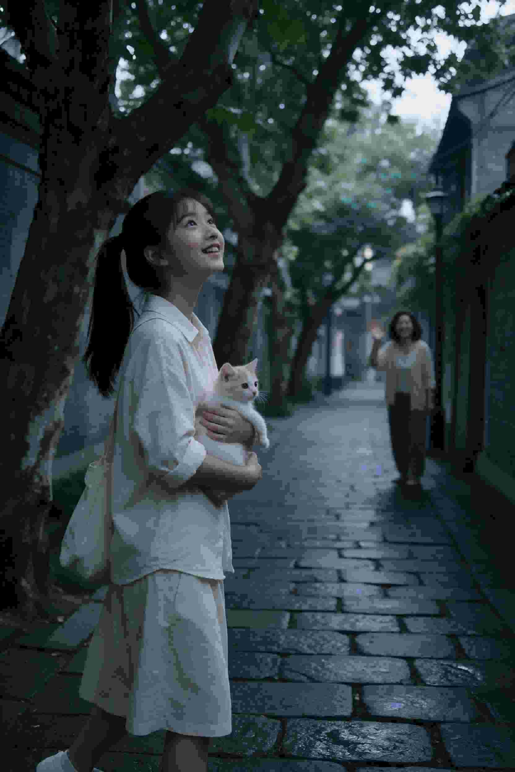王牌御史